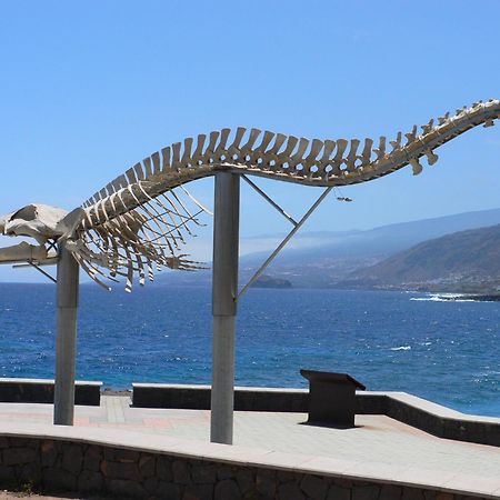 Casa"La Gomera" Los Silos Dış mekan fotoğraf