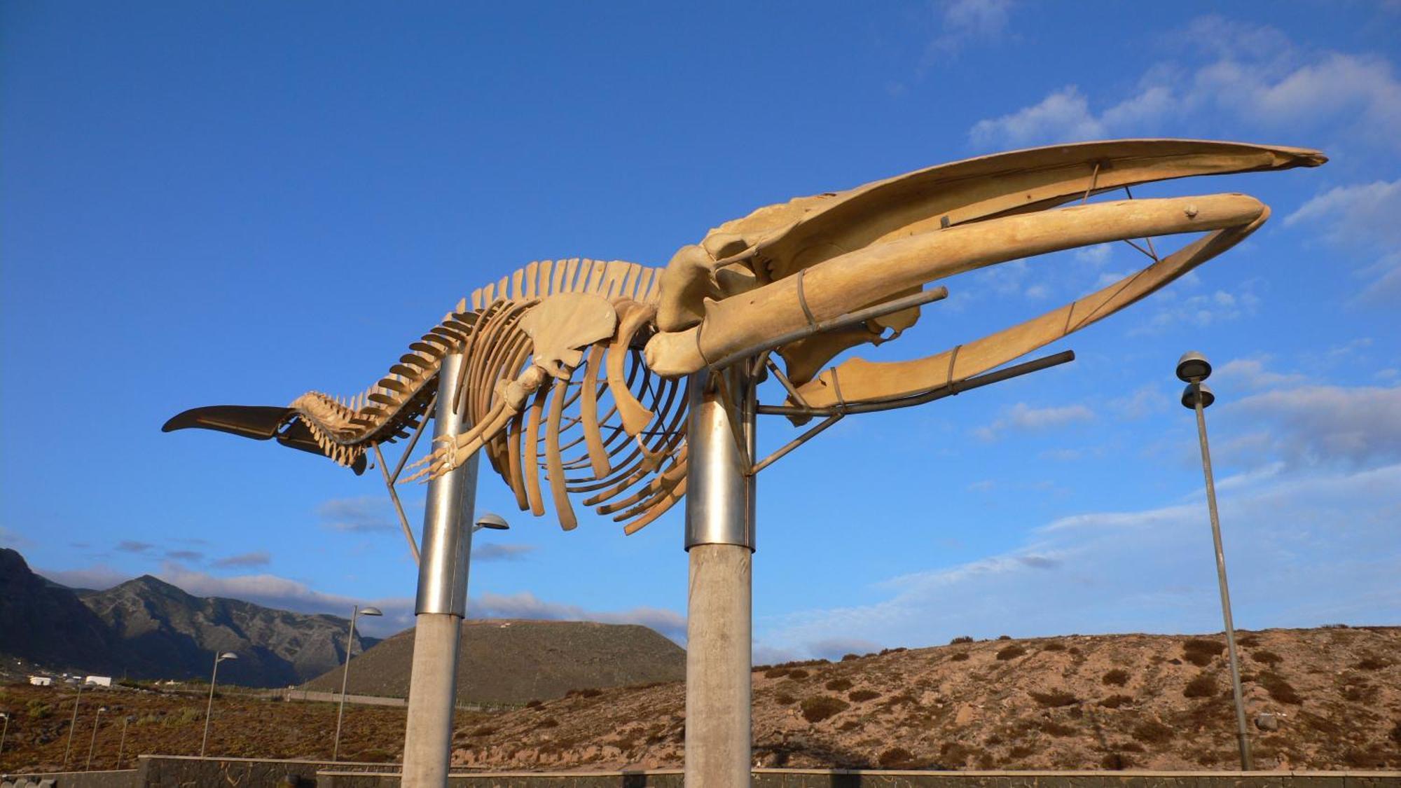 Casa"La Gomera" Los Silos Dış mekan fotoğraf
