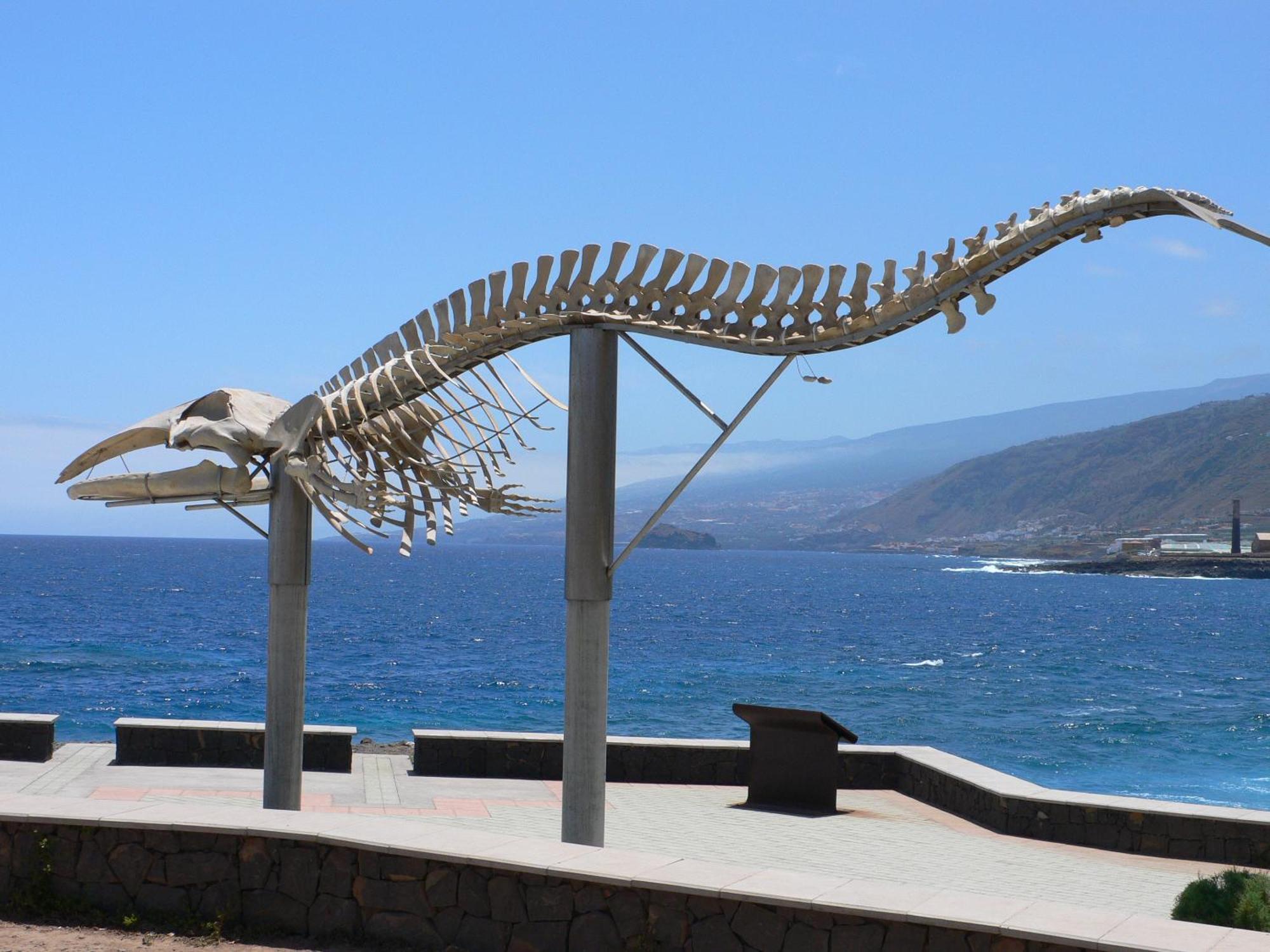 Casa"La Gomera" Los Silos Dış mekan fotoğraf